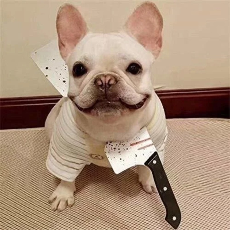 1 Pcs Dog/Cat/Pet Halloween Fu - Cosplay Prop Knife ulasan dan harga